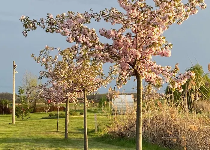 Apartment Kertvarosi Ibrany